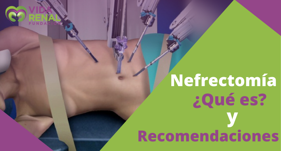 ¿Qué es Nefrectomía y cuáles son las recomendaciones? 